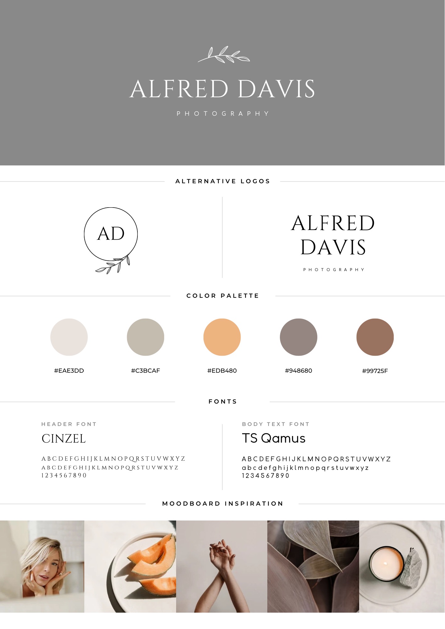 Brand Kit 2